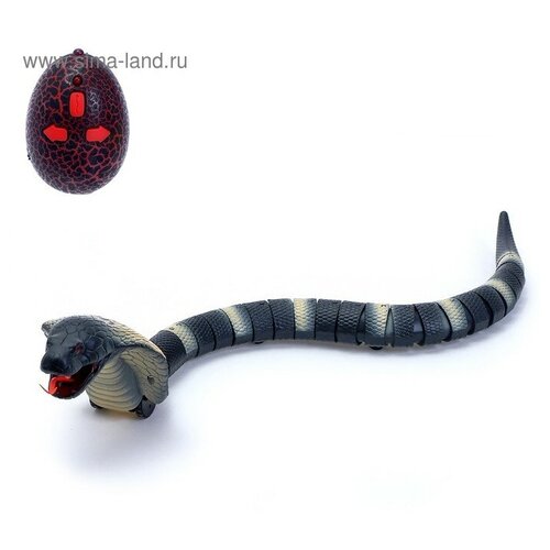 Змея радиоуправляемая «Королевская кобра», работает от аккумулятора, микс woow toys змея радиоуправляемая королевская кобра работает от аккумулятора