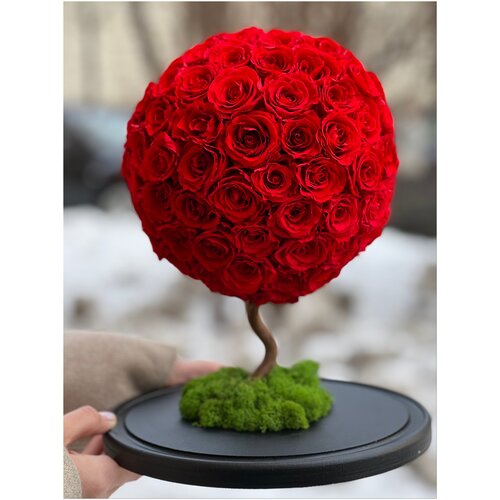 129 красных роз в стекле 