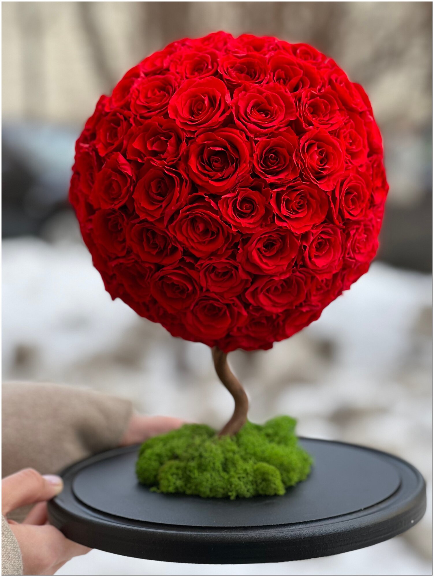 129 красных роз в стекле "Дерево Жизни" в подарочной коробке /42 см