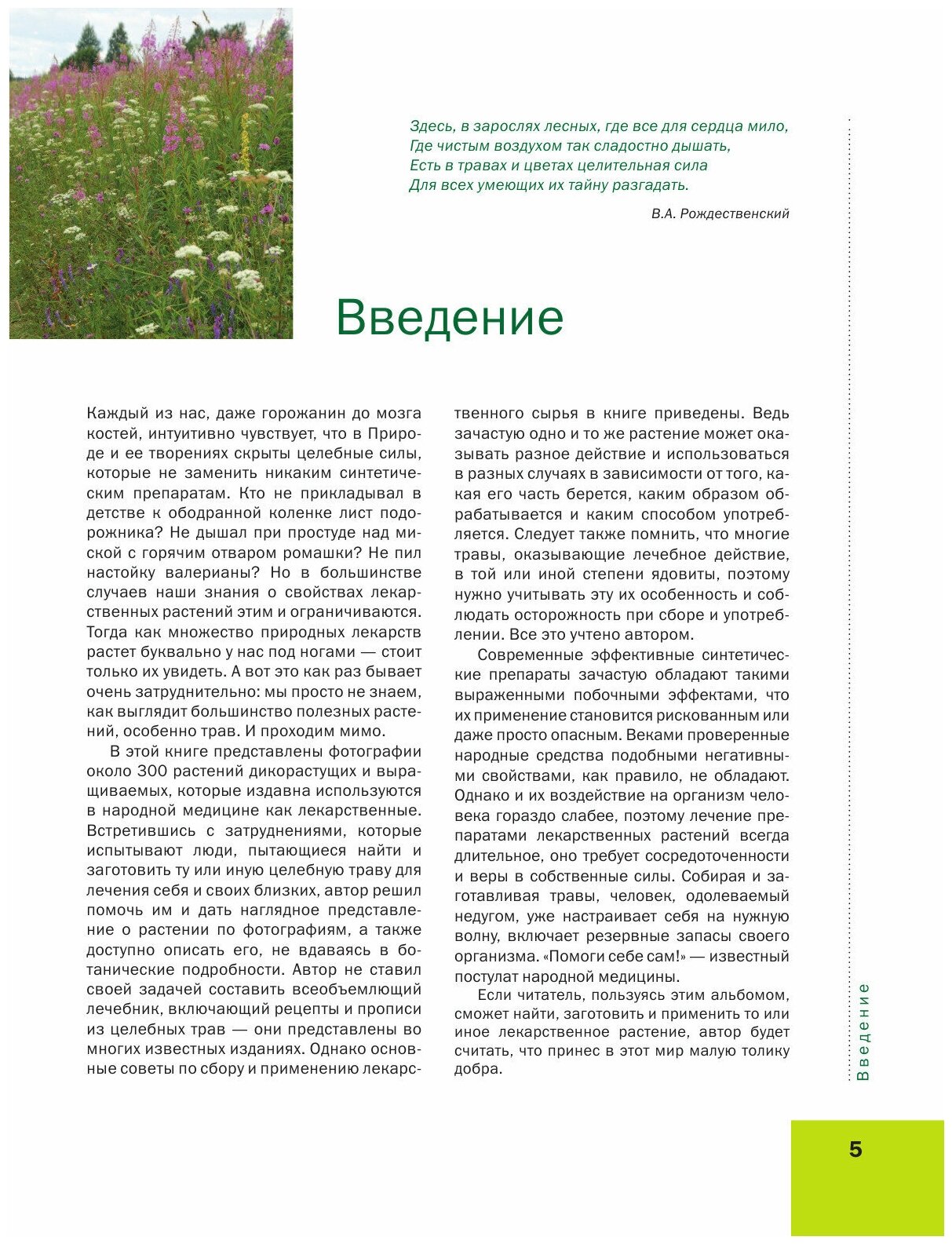 Лекарственные растения. Большая иллюстрированная энциклопедия - фото №11