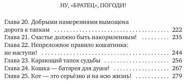 Ну, "братец", погоди! - фото №5