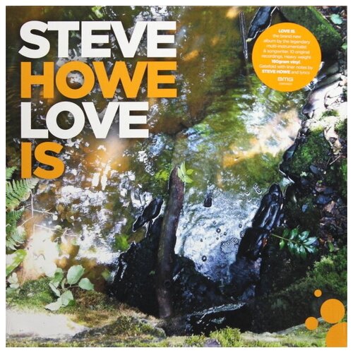 Виниловые пластинки, BMG, STEVE HOWE - Love Is (LP) виниловые пластинки bmg seasick steve can u cook lp