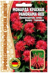 Семена Монарды красной Panorama red (5 семян)