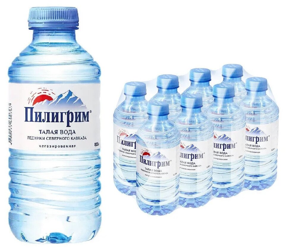 Минеральная питьевая вода Пилигрим, негазированная, ПЭТ, 8 шт. по 0.25 л
