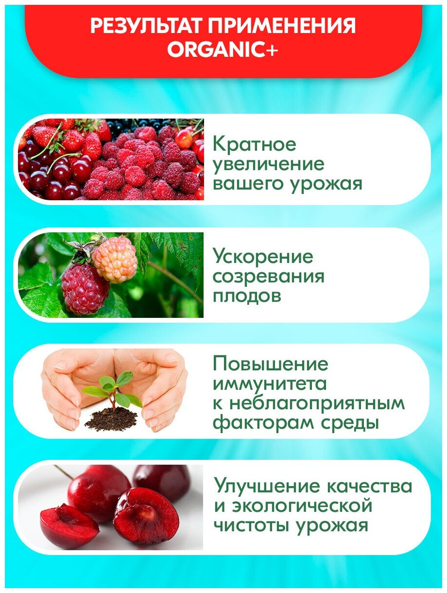 Удобрение для плодово-ягодных культур, для овощных культур Organic + - фотография № 4