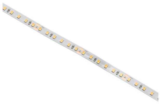 Лента светодиодная постоянного тока Jazzway 5 м 60Вт 4000К 24В 600Led холодный белый IP20 5015692 PLS PRO 2835/120