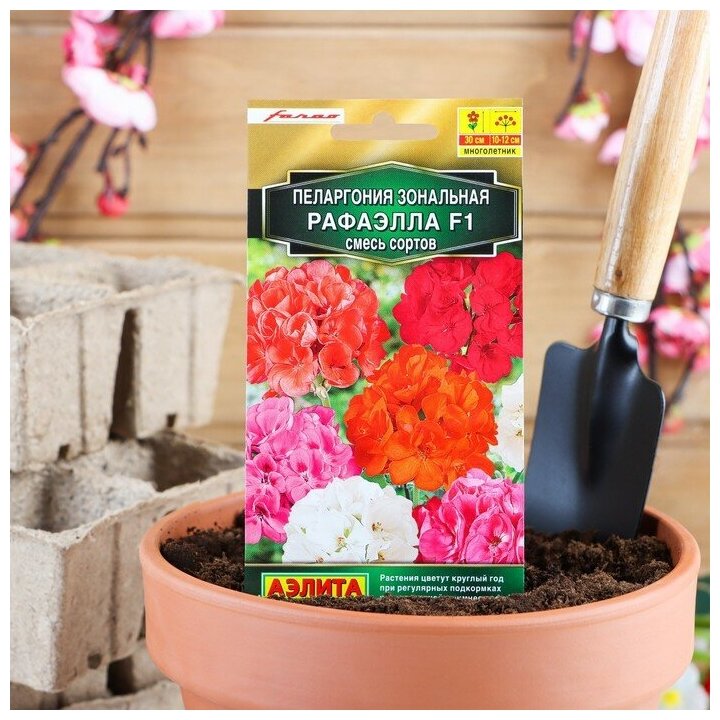 Семена комнатных цветов Пеларгония "Рафаэлла" F1 5 шт.
