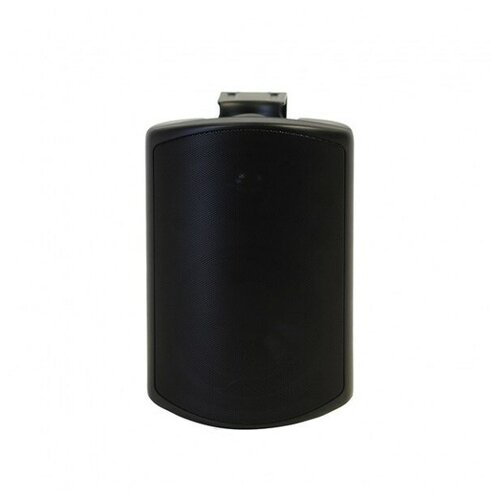 Настенная акустика Elipson Rain 8 black 4499000₽