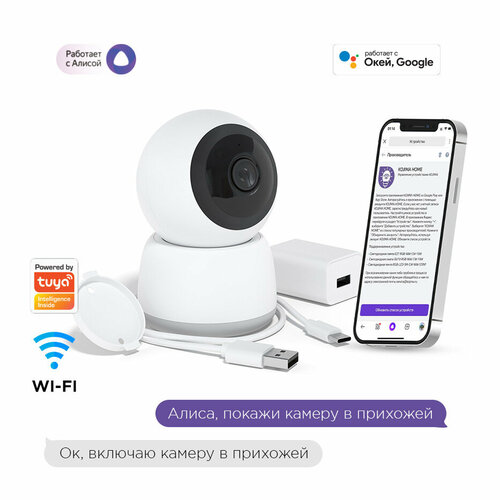 Умная камера Wi-Fi HD 360 c Яндекс Алисой, Goggle Assistant, поддержка карт памяти до 256Гб и облачное хранение