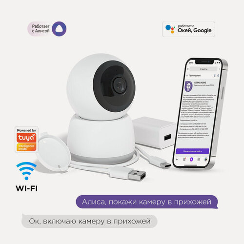 Изображение товара Умная камера Wi-Fi HD 360 c Яндекс Алисой, Goggle Assistant, поддержка карт памяти до 256Гб и облачное хранение
