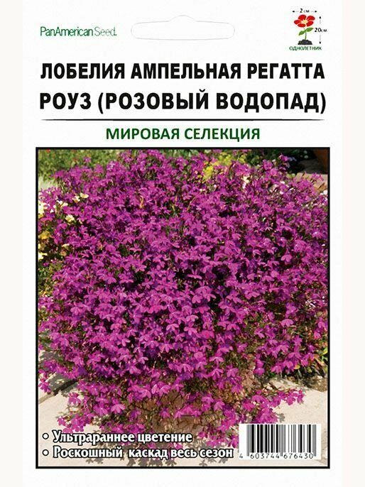 Лобелия ампельная Регатта Роуз 10шт (розовый водопад)
