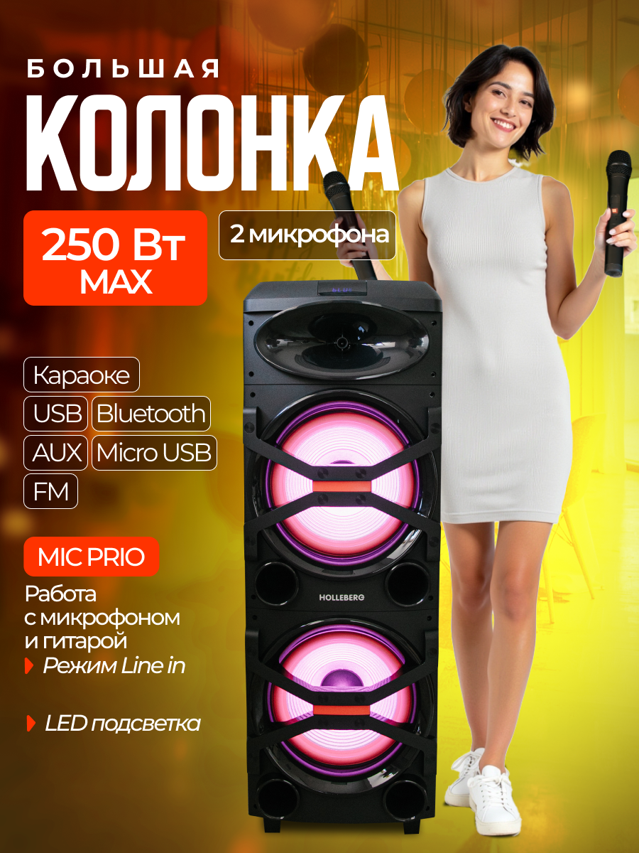 Большая музыкальная колонка HOLLEBERG HX-520 с функцией караоке