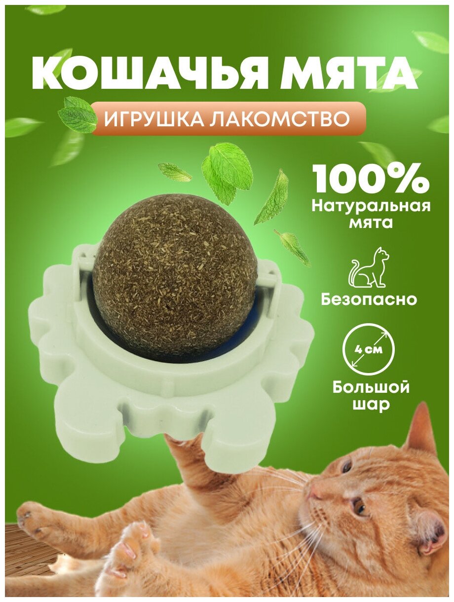 Игрушка мята для кошек/ Вращающийся шар с кошачьей мятой / Кошачья мята шар / Лакомство для кота/ Конфета мята для кошек / зеленый PetLeon - фотография № 1