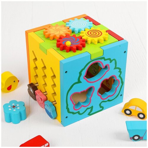 Бизикуб Wooden Toys 