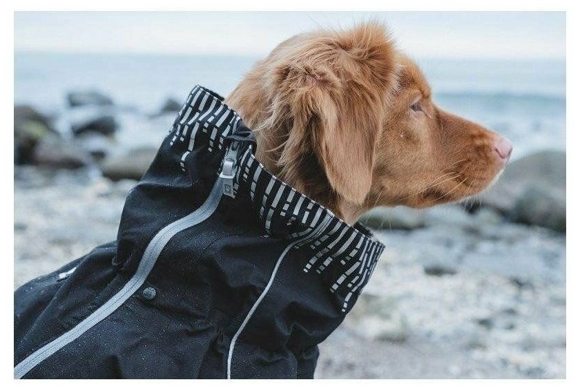 HURTTA DOWNPOUR SUIT комбинезон для собак черный (45XS) - фотография № 2