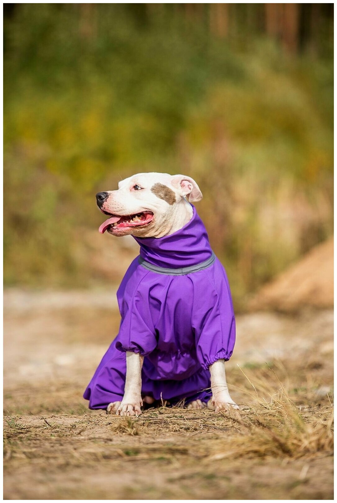 Комбинезон для собак Одежда для животных - фотография № 5