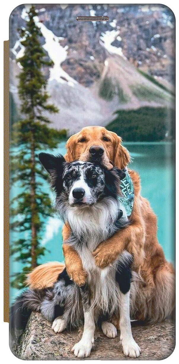 Чехол-книжка Собачья дружба на Xiaomi Redmi 7A / Сяоми Редми 7А золотой