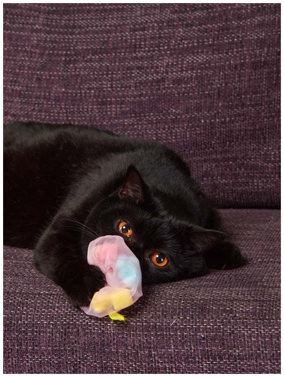 Игрушка для кошек и котят Japan Premium Pet в виде воздушной медузы, с функцией игры, серия "Волшебная коробка для кошек" - фотография № 2
