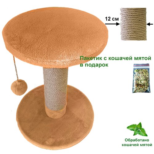 Когтеточка - столбик 