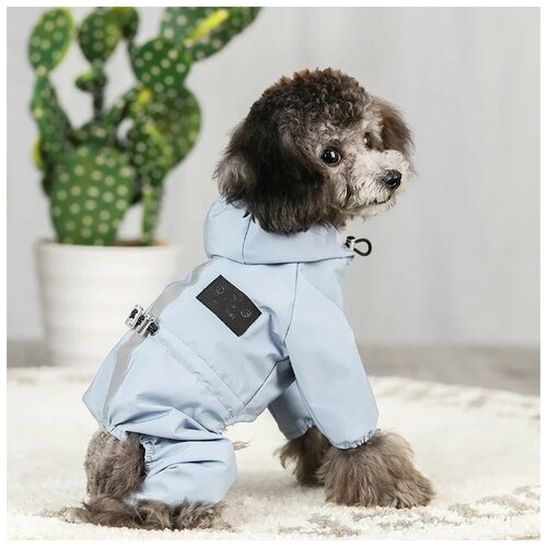 Комбез-дождевик для собак