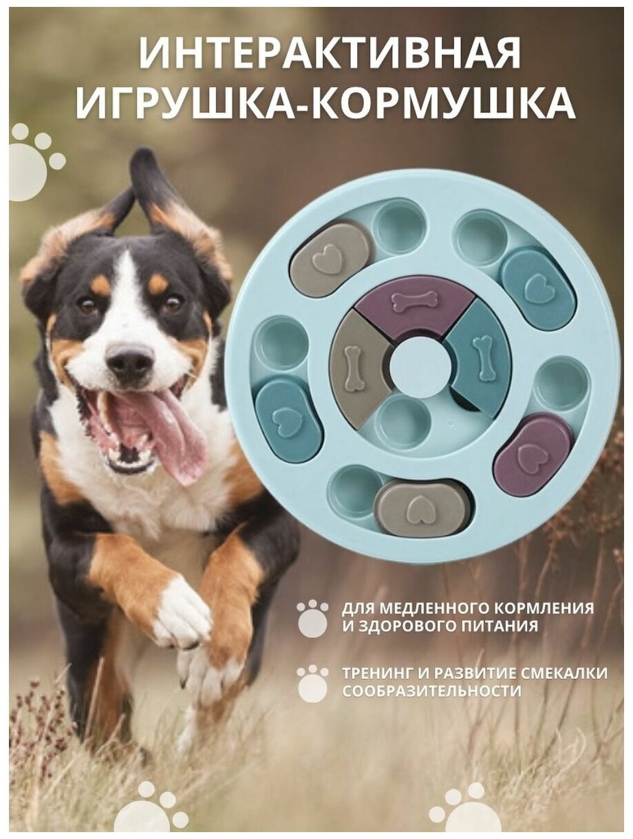 Развивающая игрушка для собак "Круглая", развивающая кормушка для собак 24 х 24 х 4 см, голубой - фотография № 1