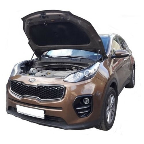 Амортизатор (упор) капота на Kia Sportage 10-06(с 2016 г.в.)Autoinnovation