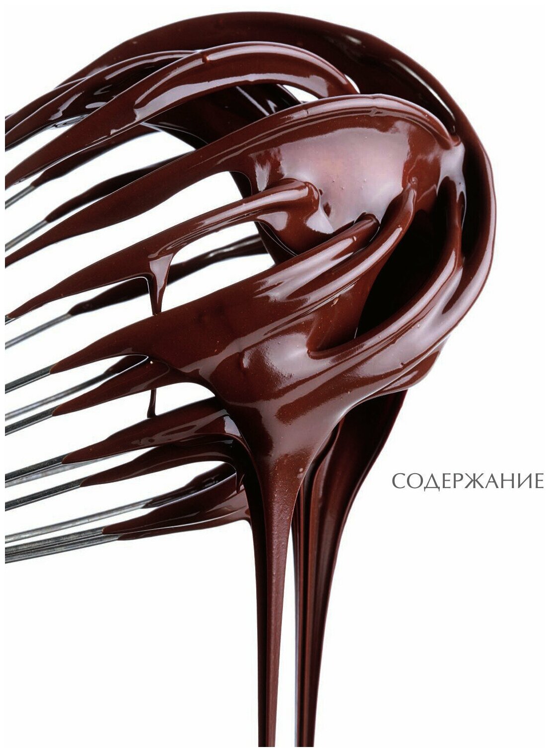 Шоколадный сомелье. Удивительное путешествие в мир шоколада - фото №6