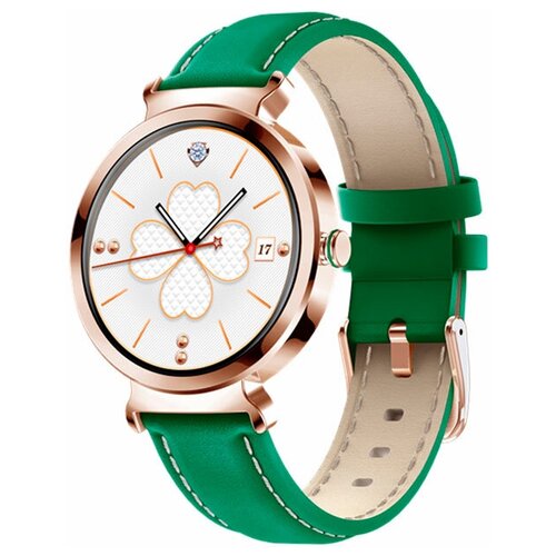 BandRate Smart BRSDT1GGN 1150000₽