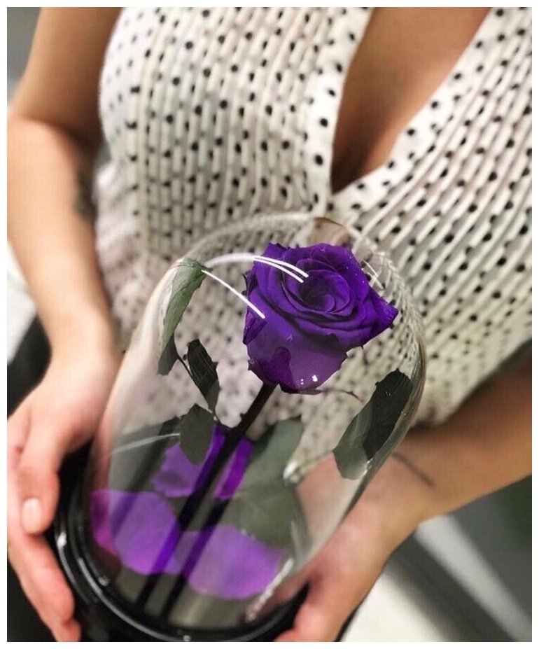 Фиолетовая роза в колбе "Мини" с подарочной коробкой/21 см