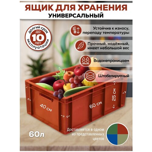 Ящик для хранения пластиковый продуктовый 600*400*250 для овощей и фруктов