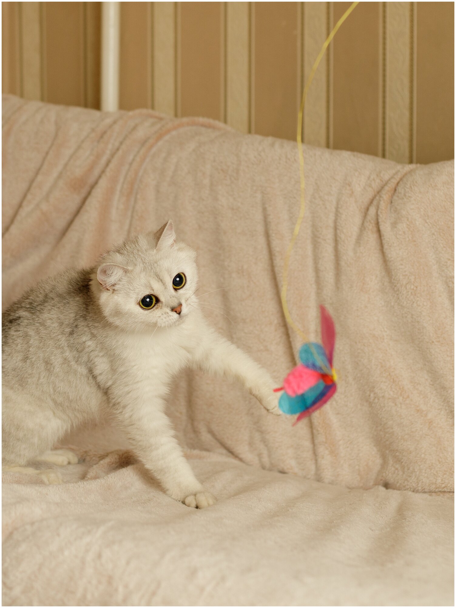 Игрушка для кошек Japan Premium Pet удочка с непредсказуемой траекторией движения для опытных кошачьих охотников , стрекоза - фотография № 3
