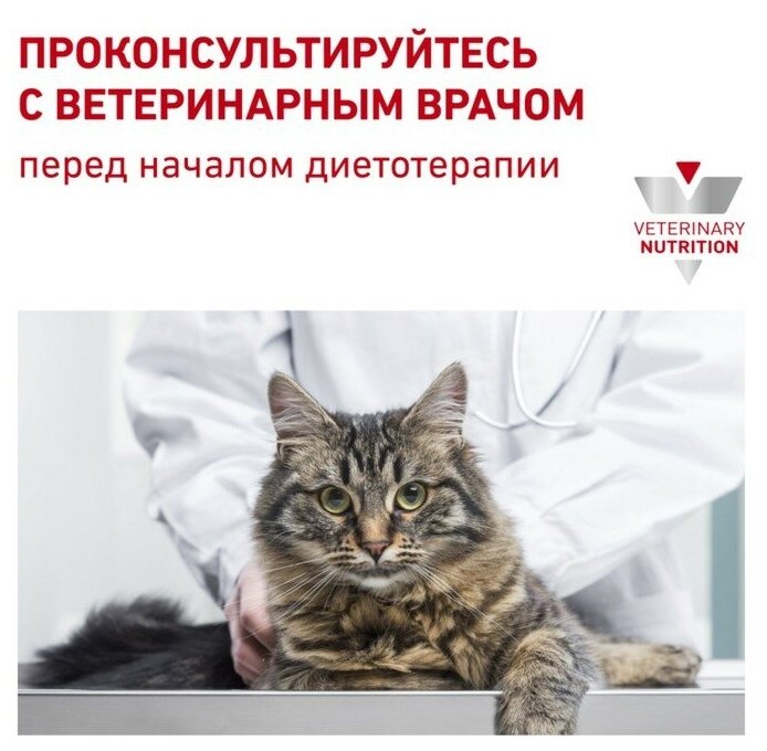 Корм Royal Canin Urinary S/O для кошек при МКБ, 3.5 кг - фотография № 6