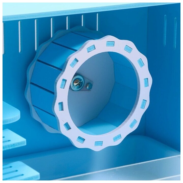 Клетка-переноска для грызунов,акриловая, синяя, 29 х 23,5 х 22 см Пижон 7598073 . - фотография № 4