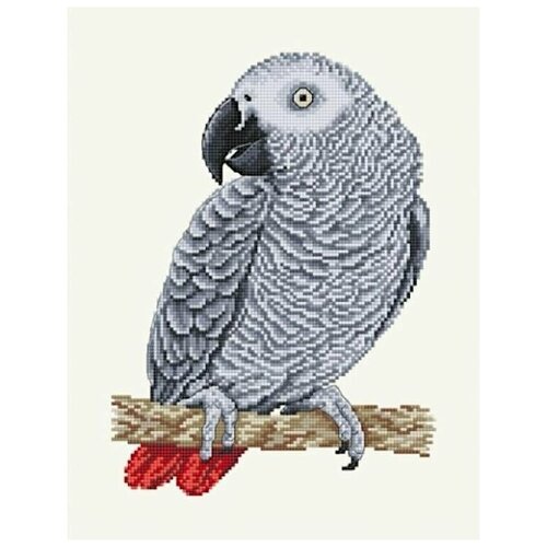 Набор для вышивания Сделано с любовью Жако 25x30 см, Попугаи Птицы набор для вышивания сделано с любовью попугаи ара 24x46 см птицы