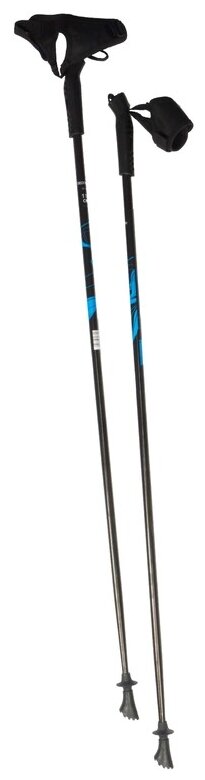 Палка для скандинавской ходьбы Decathlon Newfeel Pw 100 125 cm, 2 шт., черный