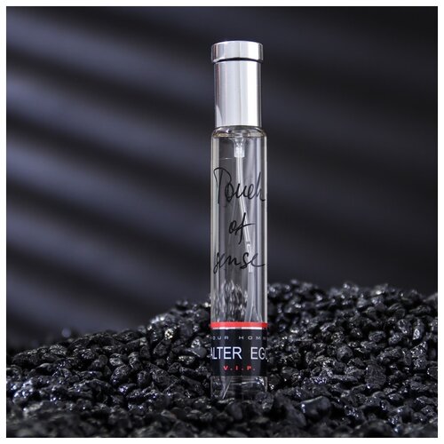 Туалетная вода мужская Alter Ego VIP, 100 мл