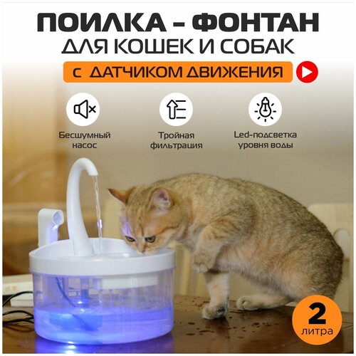 Автоматическая поилка для кошек с датчиком движения, питьевой фонтан с подсветкой объемом 2 литра с фильтром, автопоилка для кошек