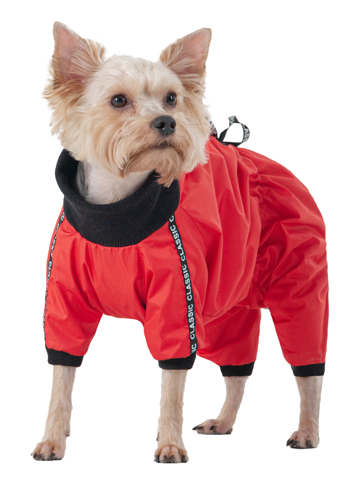 Новинка осени 24! Комбинезон для собак DogModa Классик для девочки (животик закрыт) на меху, цвет красный, р.3