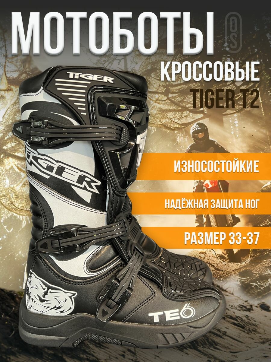 Мотоботы