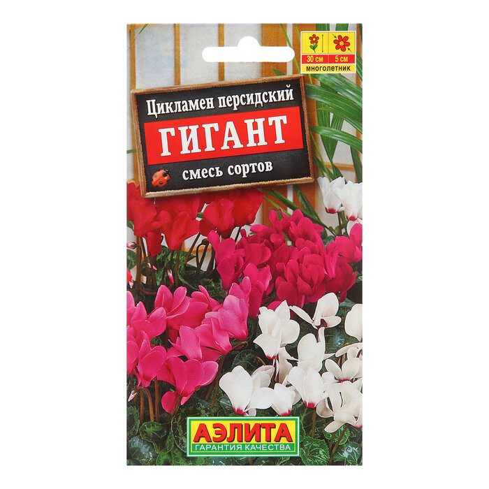 Семена Цикламен персидский 