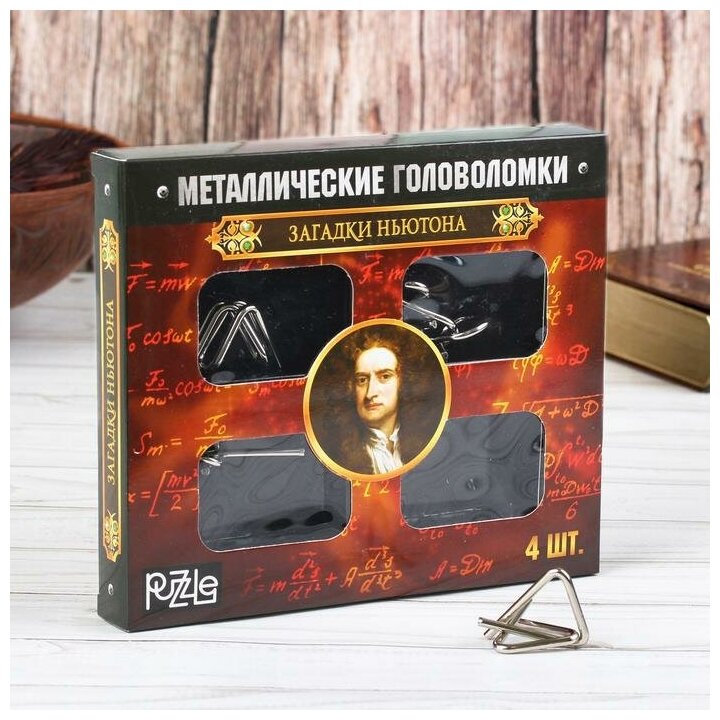 Головоломка Puzzle металлическая "Загадки Ньютона" 4 штуки (2528229)