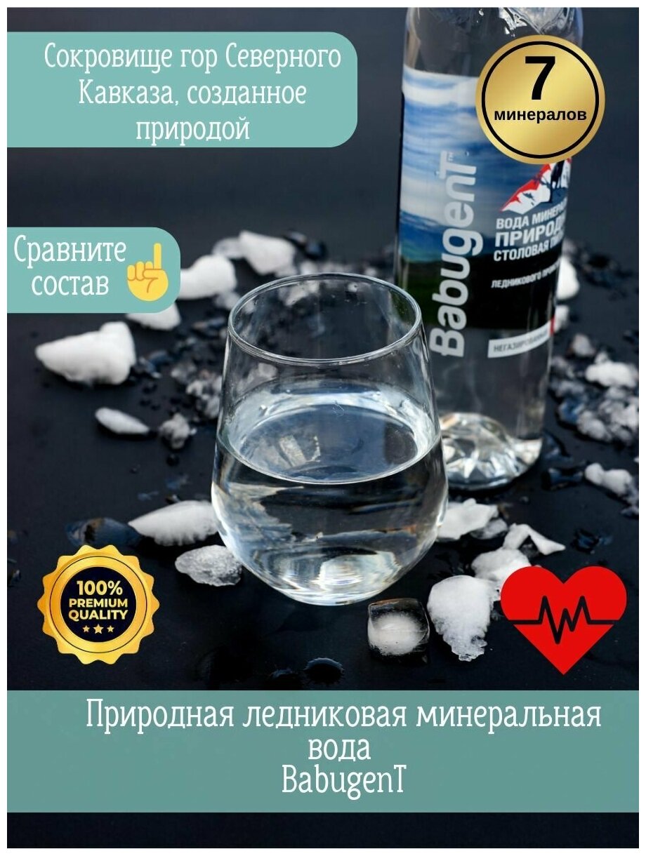 Вода природная минеральная питьевая BabugenT , негазированная. Пластик, 12 шт. по 0,65 л - фотография № 1