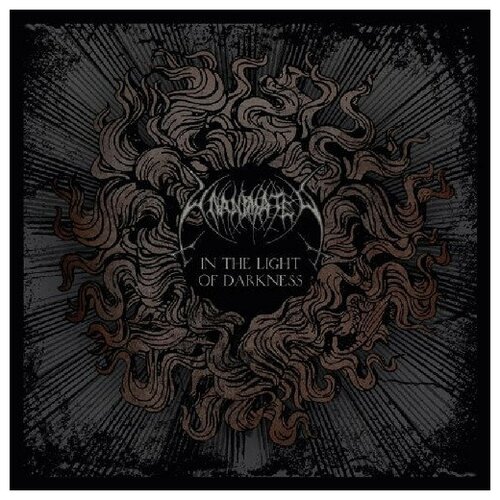 Unanimated Виниловая пластинка Unanimated In The Light Of Darkness paradise lost drown in darkness 2lp 2022 black gatefold виниловая пластинка