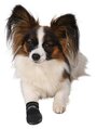 Ботинки для собак TRIXIE Walker Care Protective, 2 шт