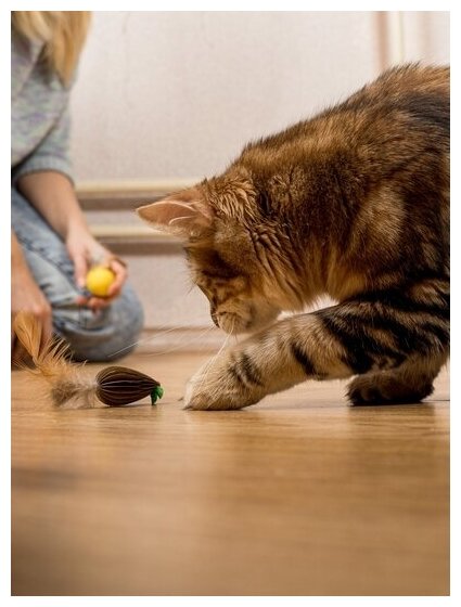 Игрушка для кошек и котят Japan Premium Pet дразнилка Мышонок-летун, серия "Волшебная коробка для кошки" - фотография № 7