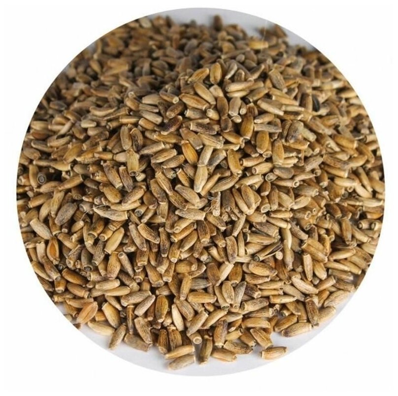 Алтайвита Расторопша пятнистая (семена) 100 гр (Altaivita) - фотография № 2