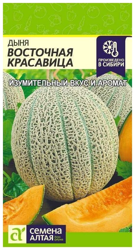 Семена Дыня Восточная Красавица. Среднеспелый сорт! Сладкая! Ароматная! Нежная! Ароматная!