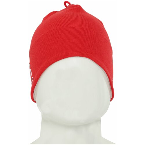 Шапка ODLO 2022-23 Hat EARPROTECTOR WARM Fiery Red