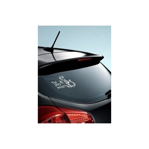 наклейка на авто, 02833 Ты это мне?,Белый