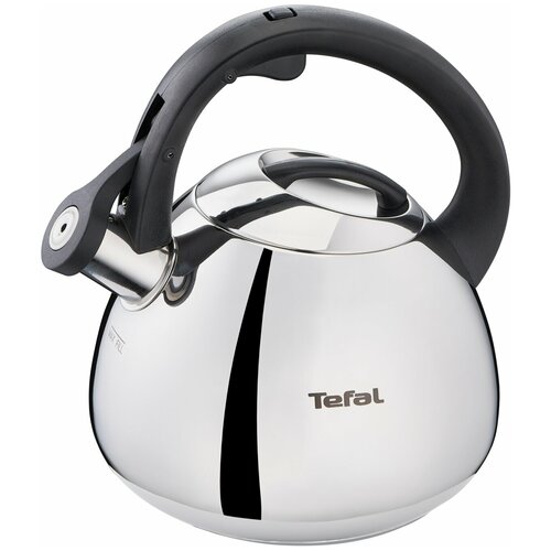 Чайник для всех видов плит Tefal Duetto+ N4180110 2,7 л нержавеющая сталь, индукционное дно